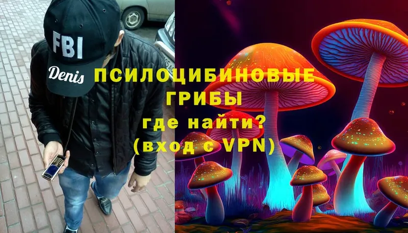 Галлюциногенные грибы Magic Shrooms  наркота  Краснокамск 